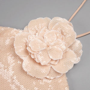 Sophie Strapless Dress
