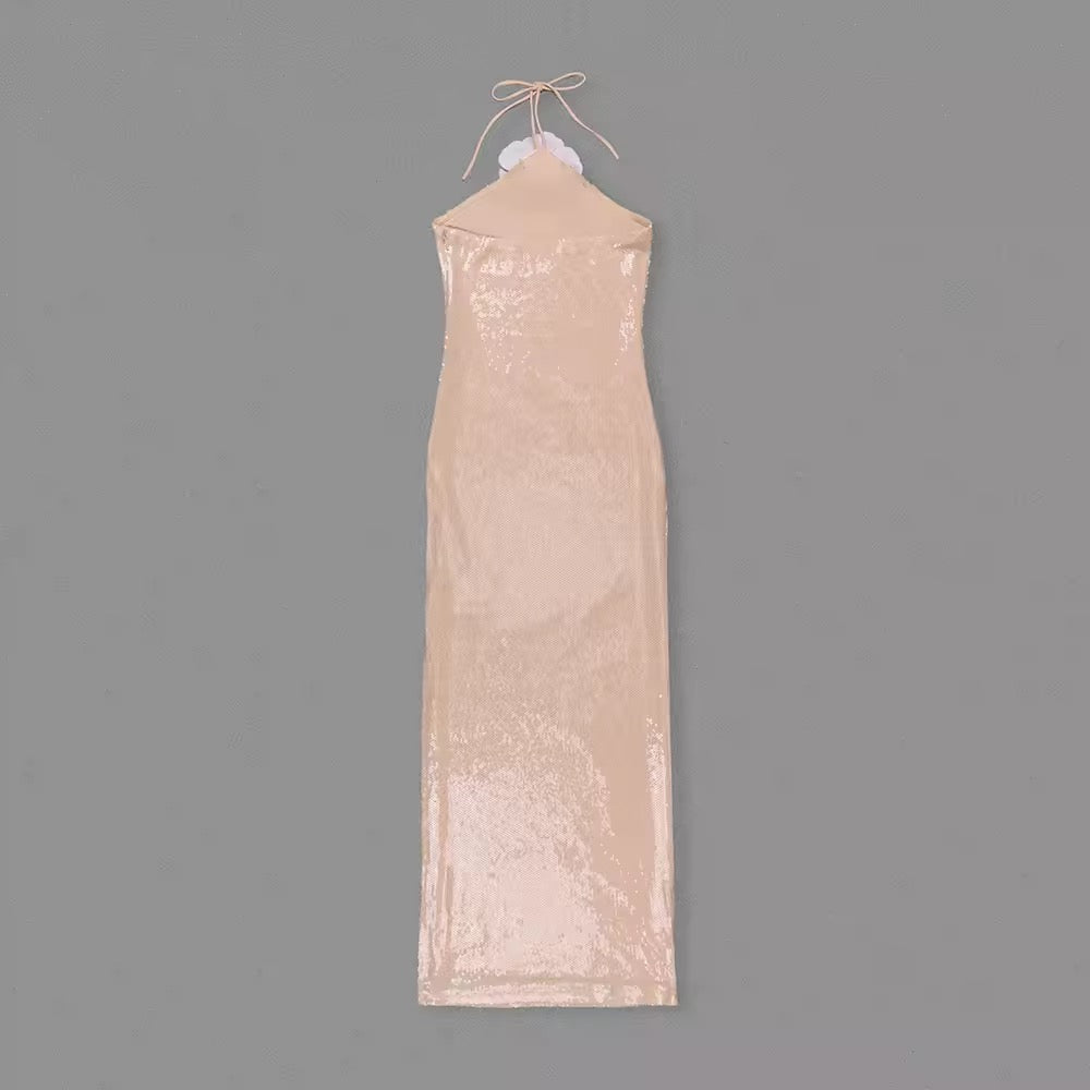 Wendy Sequin Dress