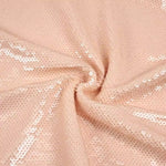 Wendy Sequin Dress