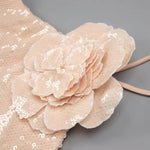 Wendy Sequin Dress