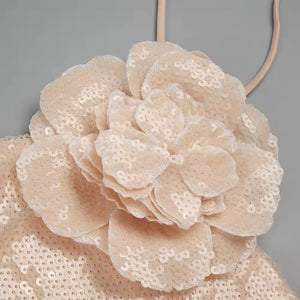 Wendy Sequin Dress