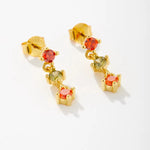 Multi Color Earrings