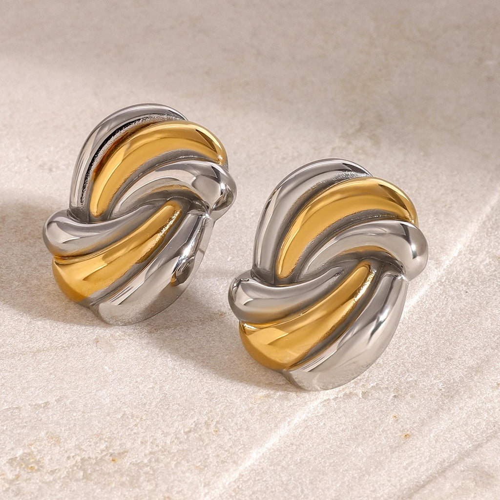 Silver Gold Mixed Earrings